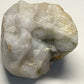 Chalcedony Coral Fossil. Everglades, Florida
